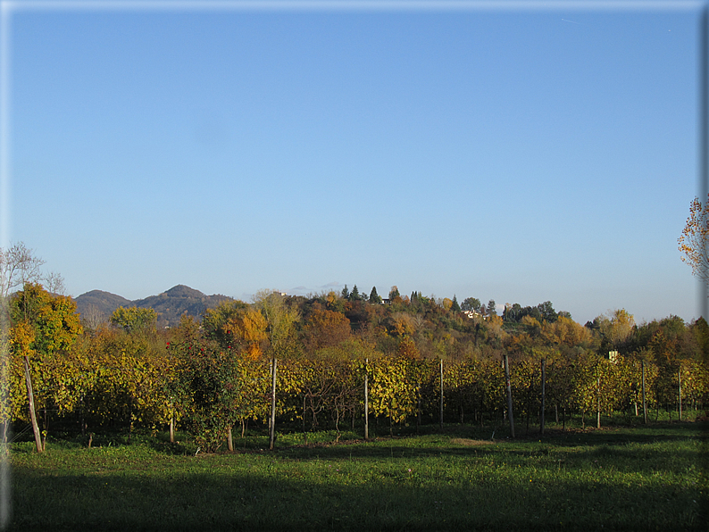 foto Paesaggi Autunnali tra le colline Fontesi